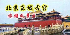 乱伦荡妇视频中国北京-东城古宫旅游风景区